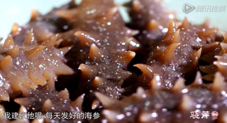 海參進(jìn)補從娃娃抓起，兒童吃海參的好處！