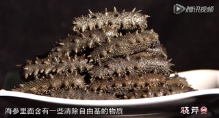 孝敬父母，為何首選海參？